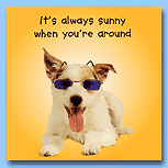 Greeting Cards - General - Greeting Cards : Miscellaneous - Sunshine