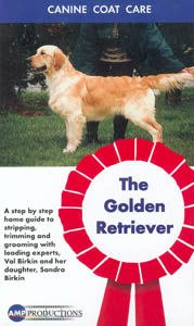 Grooming The Golden Retreiver