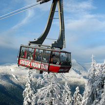 Unbranded Grouse Mountain Skyride - Adult