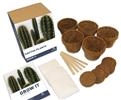 Unbranded Grow It Cactus Plant: As Seen