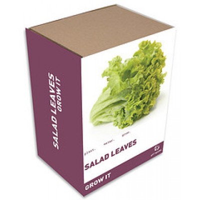 Unbranded Grow It: Salad Leaves