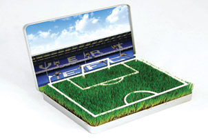 Unbranded Grow your own Goodison Park Pitch