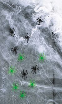 Unbranded Gruesome Horror - 120g Spiders Web w 12 Spiders