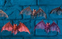 Unbranded Gruesome Horror - 22cm Coloured Bat (1 of Asst.)