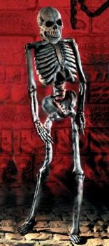 Unbranded Gruesome Horror - Full Size Skeleton