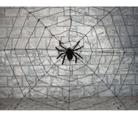 Unbranded Gruesome Horror - Giant Web with Posable Spider