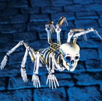 Unbranded Gruesome Horror - Hanging Spider Skeleton