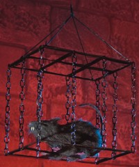 Unbranded Gruesome Horror - Rat in Hanging Cage