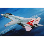 Unbranded Grumman F-14A Tomcat Plastic Kit