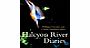 Unbranded Halcyon River Diaries