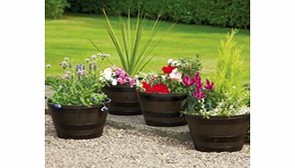 Unbranded Half Barrel Planters