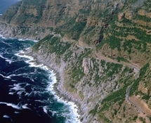 Unbranded Half Day Cape Point Tour - Child