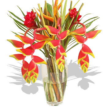 Unbranded Heliconia Bouquet - flowers