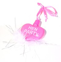 Fill the limo with bubbles on your hen night! These are a really nice touch for a great last night o