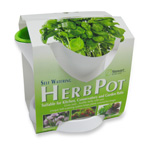 Unbranded Herb Pot