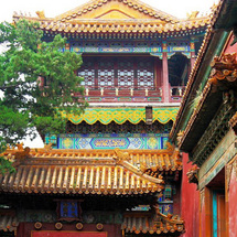 Unbranded Historic Beijing I - Forbidden City, Tiananmen Square, Temple of Heaven - Adult