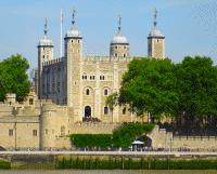 Unbranded HM Tower of London Winter Special Senior Ticket