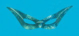 Unbranded Holographic Flyaway eyemask, blue
