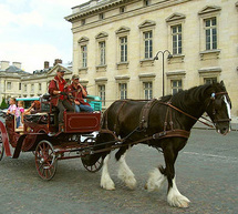 What better way to enjoy the capital of romance than a private Horse and Carriage ride along her gra