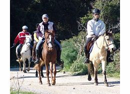 Unbranded Horse Riding from Bodrum - Child