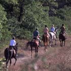 Unbranded Horse riding in the Chianti - Adult