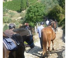 Enjoy a unique opportunity to explore the beautiful Tuscan countryside by horseback, passing through olive groves, vineyards and medieval villages.