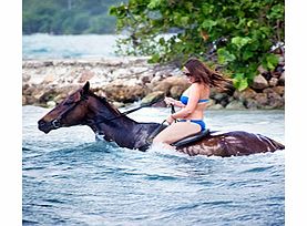 Unbranded Horseback Ride n Swim from Montego Bay - Child