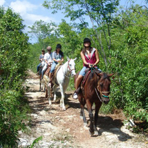 Unbranded Horseback Riding In The Jungle from Cancun - Adult