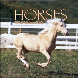 Horses Weekly Engagement 2006 calendar