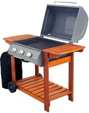 Gas powered barbecues are all the rage for the sim