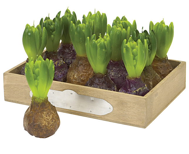 Unbranded Hyacinths Crate