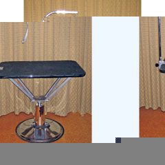 A bit of luxury for you when grooming your dog.  This Hydraulic Grooming Table rotates and the heigh