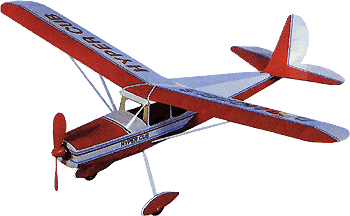 Hyper Cub Model Plane