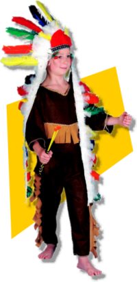 comboys and indians costume