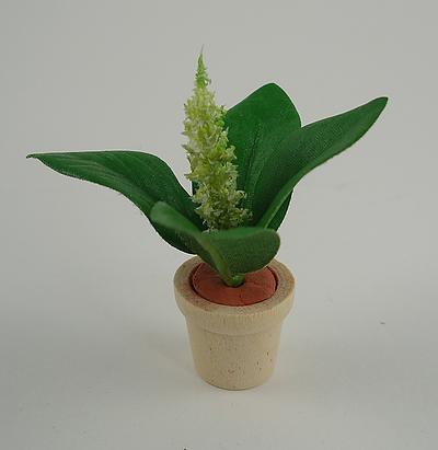 Individually Handcrafted Miniature Plant in