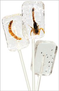 These exceedingly slurpable lollies have genuine edible creepy crawlies embedded within their candy 