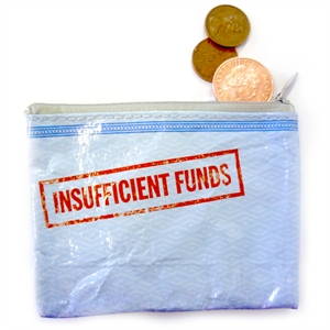 Unbranded Insufficient Funds Coin Purse