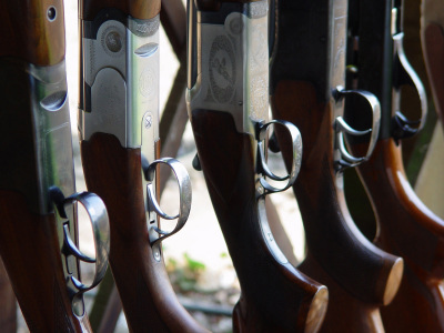 Unbranded Introduction To Clay Pigeon Shooting