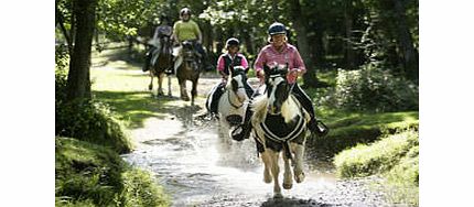Unbranded Introduction to Horse Riding for One