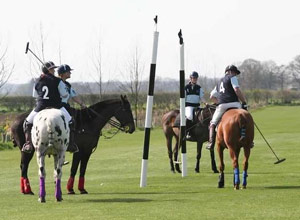 Unbranded Introductory polo lesson