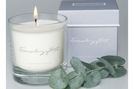 Invigorating Eucalyptus Scented CandleThis beautiful eucalyptus scented candle is set in an elegant glass tumbler, and presented in a quality gift box, making it a lovely gift for all occasions.The candle has a semi-sweet, refreshing, almost menthol 
