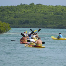 Unbranded Island Safari Eco Kayak Tour - Adult