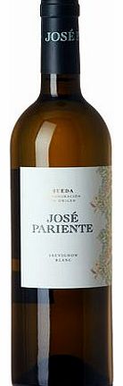 Unbranded Jose Pariente Sauvignon Blanc 2013, Rueda
