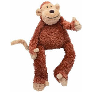 Junglie Monkey is the cutest monkey in the jungle! Please give him a home so he stops hanging