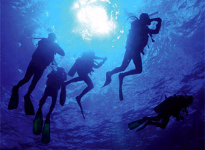 Experience the thrill of breathing underwater in a fun, convenient session conducted in a confined w