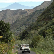 Unbranded La Gomera Open Top Jeep Safari - Adult