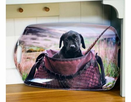 Labrador Puppy in Game Bag TrayThis beautiful kitchen/drinks tray is printed with a very cute labrador puppy sat in a game bag. The gorgeous pup looks like he wants to pounce out of the bag and play. Show this tray to anyone and I guarantee they will