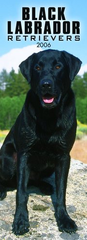 Labrador Retriever - Black - SLIM 2006 calendar