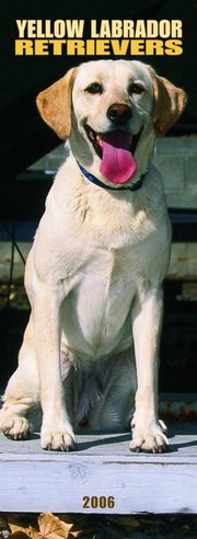 Labrador Retriever - Yellow - SLIM 2006 calendar