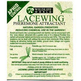 Unbranded Lacewing Attractant